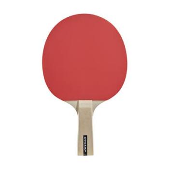 Dunlop Tischtennis-Set Match 2-Player